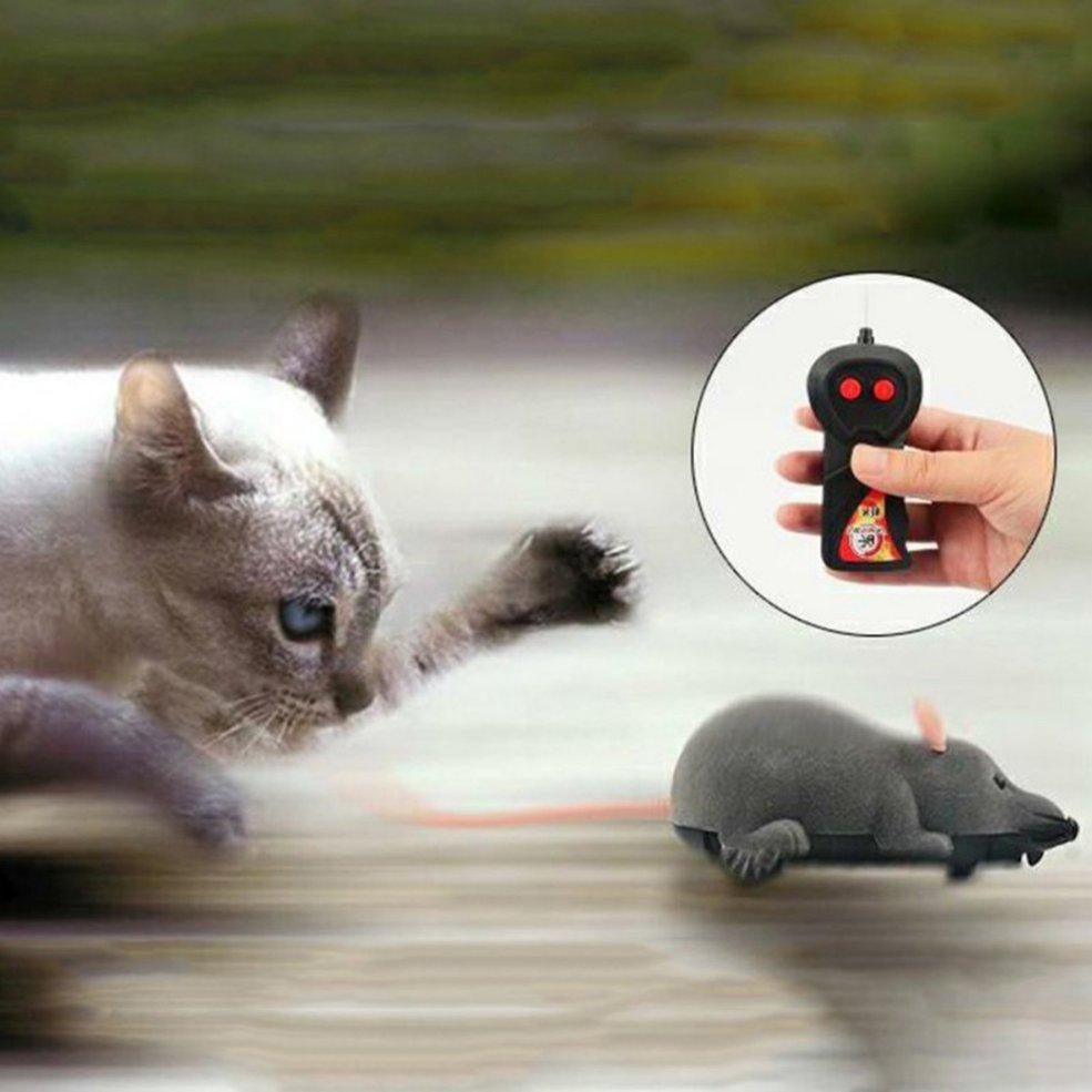 remote mouse cat toy