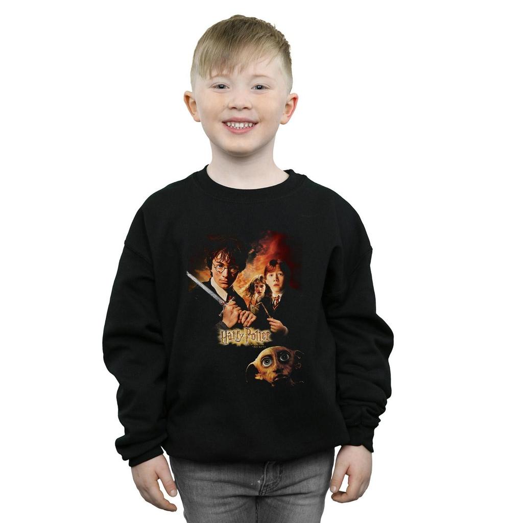 Harry Potter Boys Chamber Of Secrets Poster Sweatshirt