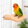 Wear Resistant Artificial Hand Parrot Stand Realistic Parrot Standing Stick  Bird Cage Accessories