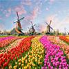 Puzzles, 500 Teile, großes Puzzle für Erwachsene, lustiges Familienspiel, intellektuelles Lernspielzeug, einzigartiges Design, DIY-Heimdekoration