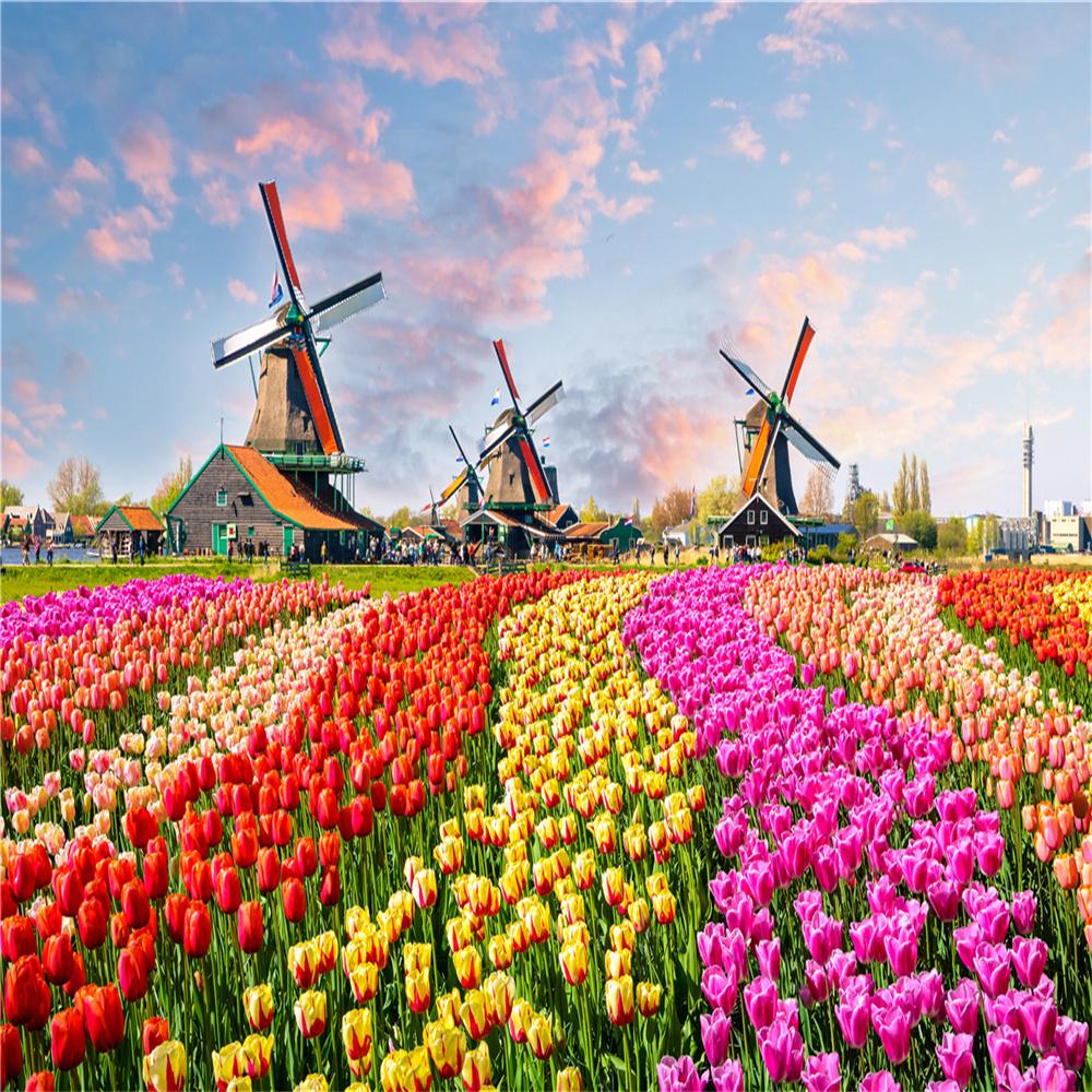 Puzzles, 500 Teile, großes Puzzle für Erwachsene, lustiges Familienspiel, intellektuelles Lernspielzeug, einzigartiges Design, DIY-Heimdekoration