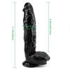 MoDi Lifelike Dildo Anal Sex Toys Men Women Sex Toys