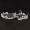 Transparent Cat Veterinary Oral Cavity Model 1:1 - Teaching Demonstration Simulation Mold