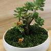Cute Miniatures Snail Micro Fairy Figurines Garden Decor Ornaments For Home Decoration Mini Funny Animal Craft Decoration