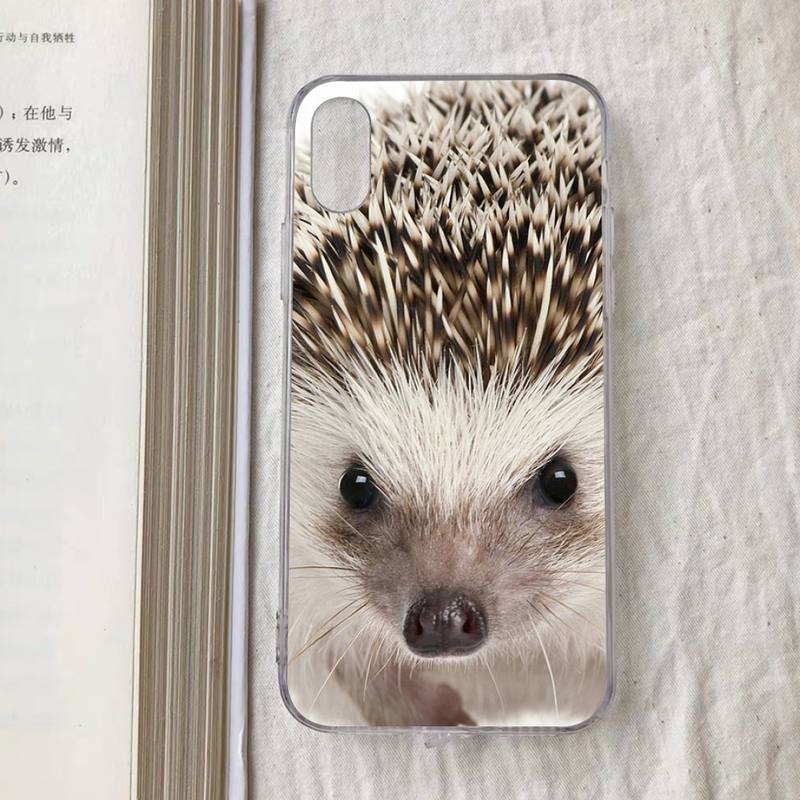 Cute Animal Hedgehog Phone Case for iPhone 11 12 13 mini pro XS MAX 8 7 6 6S Plus X 5S SE 2020 XR case