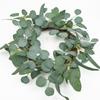 Eucalyptus Money Leaf Wreath Garland 50x50cm Artificial Greenery Wall Decor