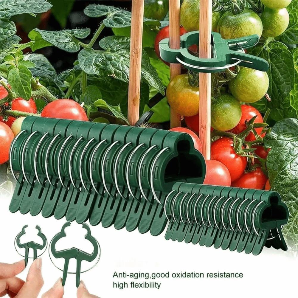 10Pcs Lever Ring Garden Plant Support Clips Durable Plastic Green Lever Ring Clips  Fixed Plants