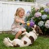 Chew Toys for Dogs Dog Squeaky Teething Rope Toy Pet Chewing Plush Doll for Home Training Indoor Outdoor Playtime Family