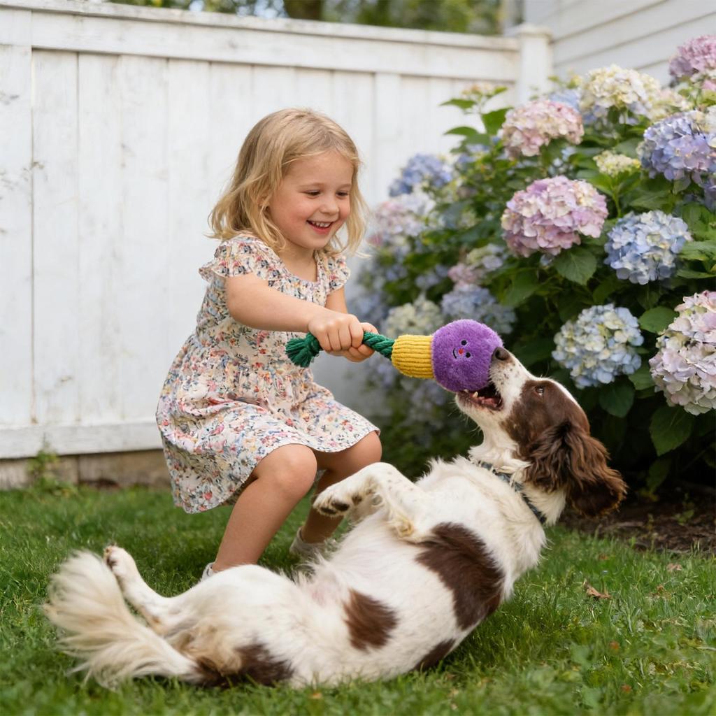 Chew Toys for Dogs Dog Squeaky Teething Rope Toy Pet Chewing Plush Doll for Home Training Indoor Outdoor Playtime Family