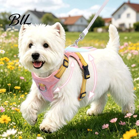 Durable Metal Traction Ring No Pull Dog Harness with 5Ft Leash, Cute Colorful Wings Harness, Adjustable Medium Walking Vest Reflective Handle