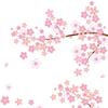 Pink Plum Blossom Branch Wall Sticker Bedroom Living Room Furniture Background Wall Decal Mural Pvc