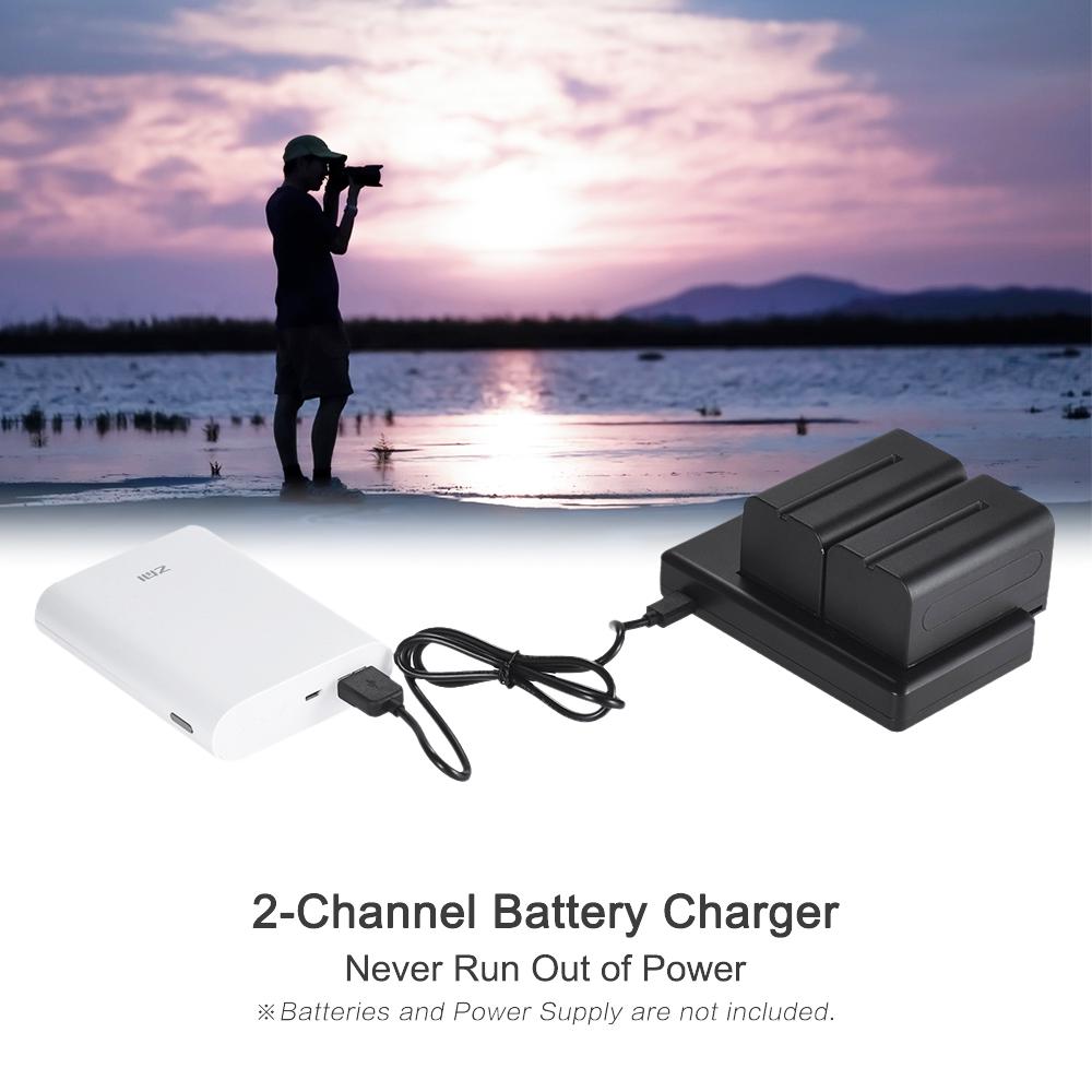 FB NP F550 Camera Battery Charger 2 Channel Micro USB Input for Sony F750 F770 F960 F970 F550 F530 F330 F570 FM50 FM70