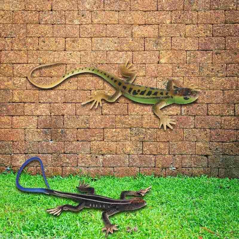 1pcs Simulation Four-legged Snake Animal Model Kids Gift Funny Novelty Lizards Action Figure Garden Ornaments Kids Prank Toys