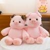 Soft Cartoon Pig Plush Toys Companion Gold Mink Velvet Material Kids Gift Girls
