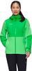 Mammut Linard Guide Hardshell Hooded Jacket (1010-30970) aurora-pinea