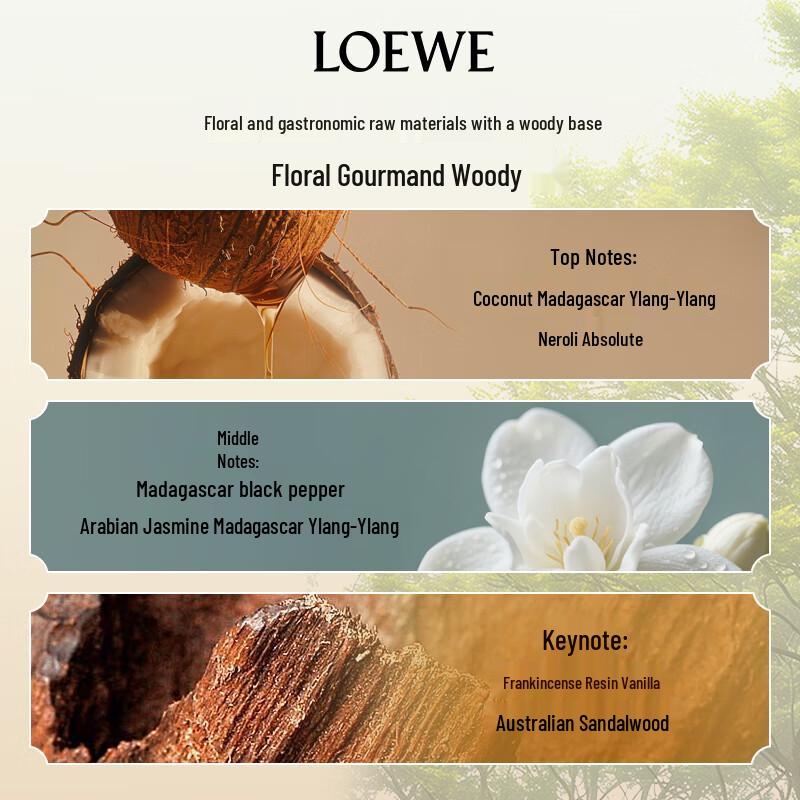 Loewe Fragrance Collection