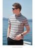 [Old Money Style Stripe] Summer New Mulberry Silk Cotton Blended Light Luxury Men's Polo Shirt