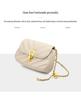 Women's Light Luxury Chain Crossbody Bag: Versatile Spring/Autumn Underarm Bag