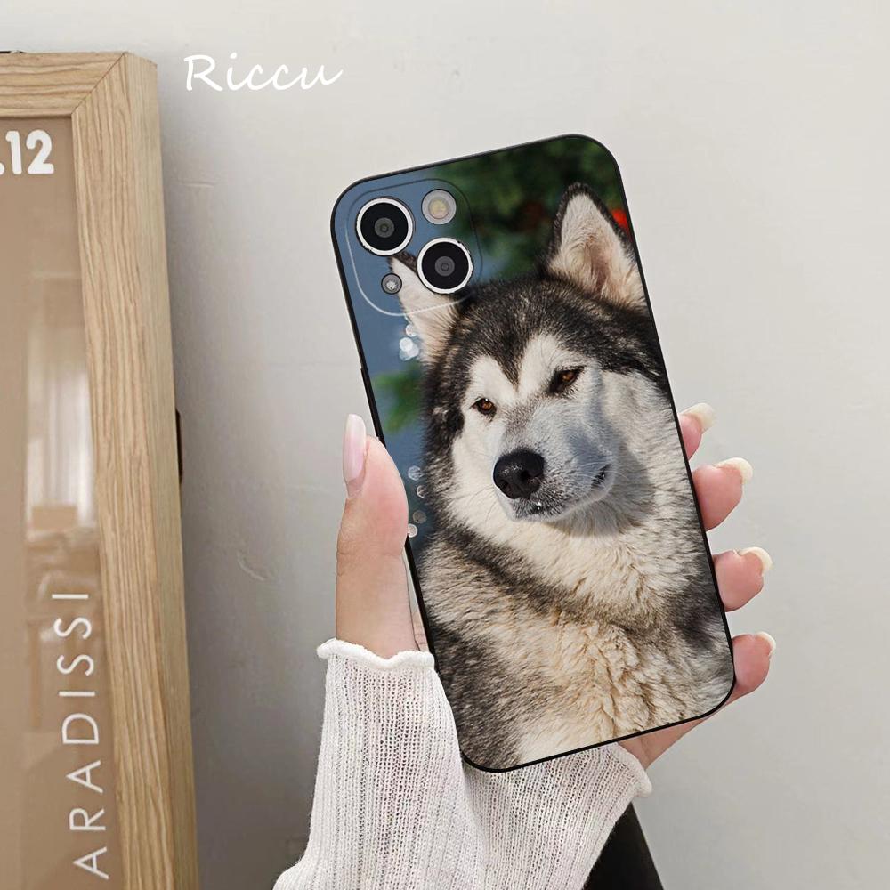 FOR IPhone Cute Alaskan Dog Phone Case FOR IPhone 14 11 12 Pro 8 7 Plus SE X Pro 14 MAX 12 13 MINI XR XS Iphone 14 Phone Covers