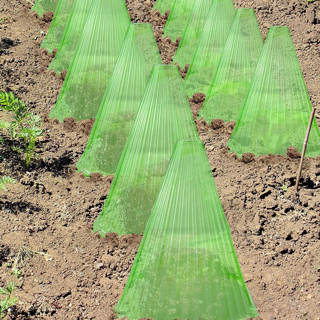 30/15/5 Pezzi Campana di Vetro Riutilizzabile per Piante per Crescita Accelerata, 10 Volte Fotosintesi e Protezione da Uccelli, Gelo e Lumache