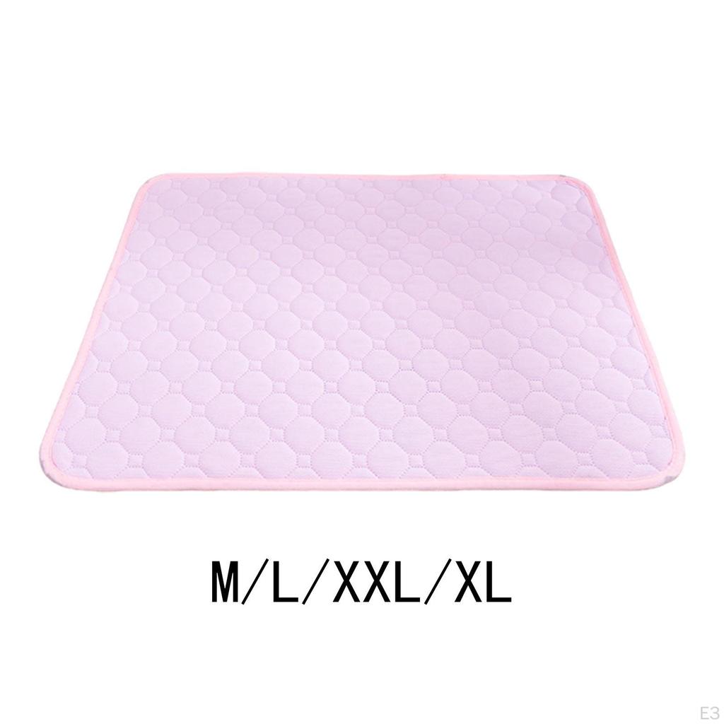 Dog Training Pad for Puppies - Absorbent And Airy