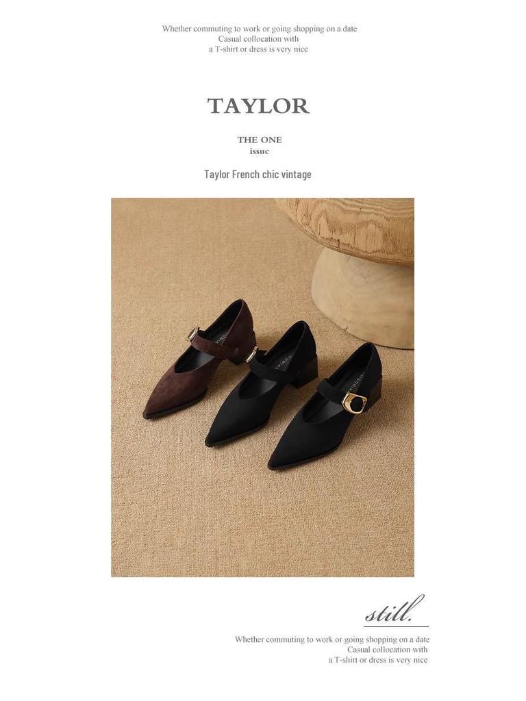 Französische Retro Mary Jane High Heels - Exquisiter Frühling/Herbst 2025 Stil für Damen mit spitzer Zehenpartie, perfekt zu Röcken.