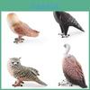 Realistic Pvc Animal Model Set Featuring Owl Eagle Vulture Monkey Face Owl For Display