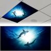 Decoration Light Covers 120*60cm Lampshade Anti-glare 15 Styles Magnetic Light Filters Sky Cloud Fabric Lampshade Offices