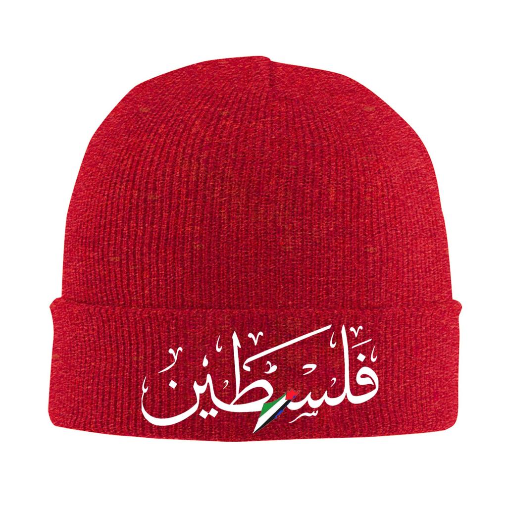 Bonnet Hats  Beanie Hats Winter Design Knitted Hat Street Men Women Outdoor Elastic Cap