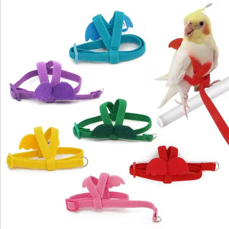 Parrot Training Harness Leash Set Anti-Bite Outdoor Flying Rope For Cockatiels Small Birds Supplies 