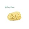 [8091] CROLL Natural Sponge Classic C008
