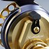SHIMANO Black Sea Bream Reel, Chinu 19, Seihakou SP RC83 Red, Right, for Raft Fishing