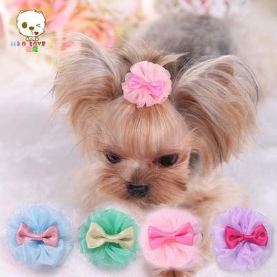 yorkie bows