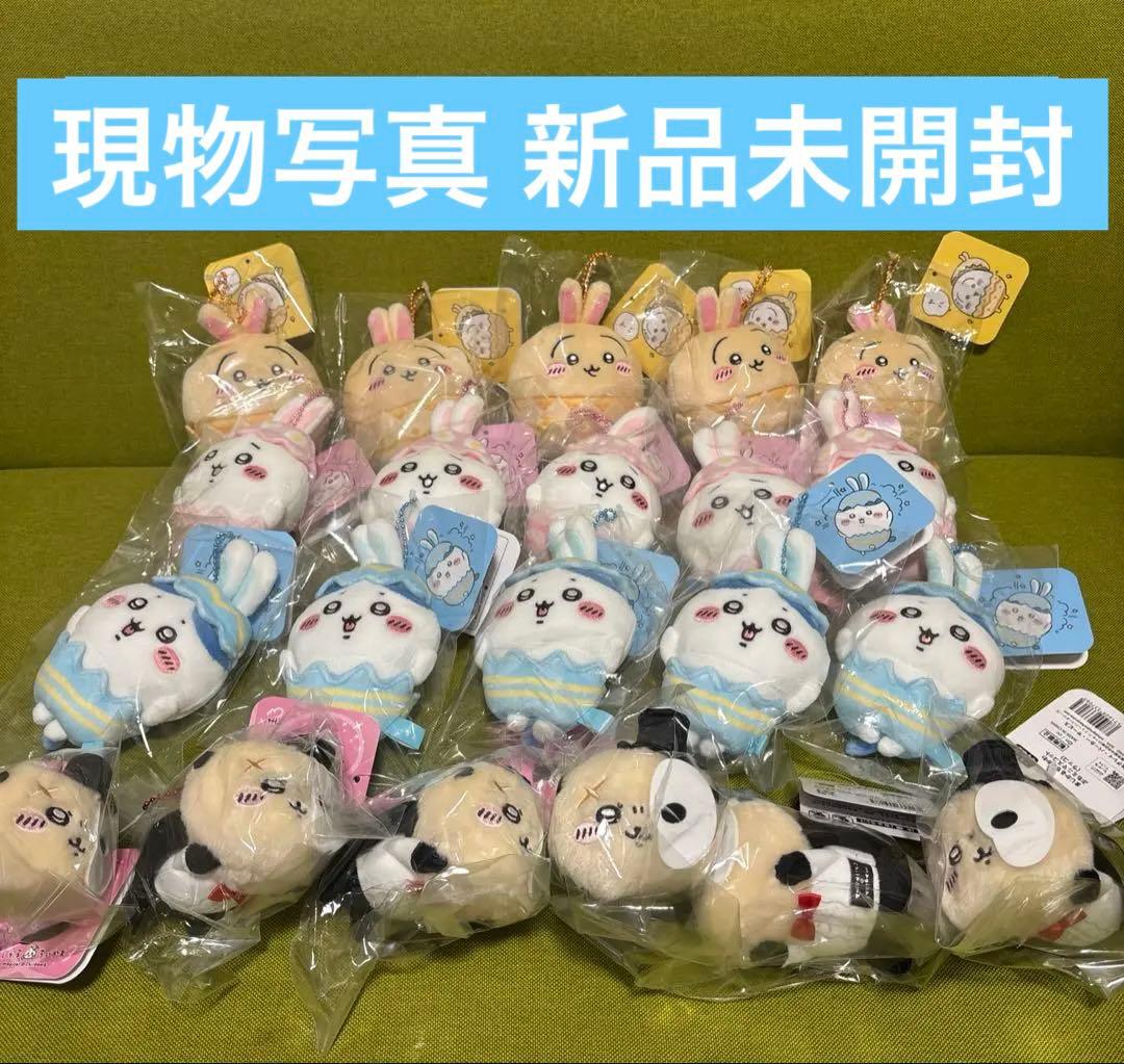 Product PhotoChii-Kawa Easter Magical Chii-Kawa Pumi Mini Sea Otter