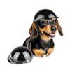 Lesypet Hund Hund og Kat Lille Hund og Kat Kæledyrssikkerhed S Hjelm, Hat, Hjelm, Hjelm,