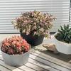1pc Simple Flower Pot Set Planter Succulent Plants Large Opening Bottom Tray Indoor Flowerpot Household Durable Holder