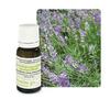 Pranarom True Lavender Essential Oil 10ml