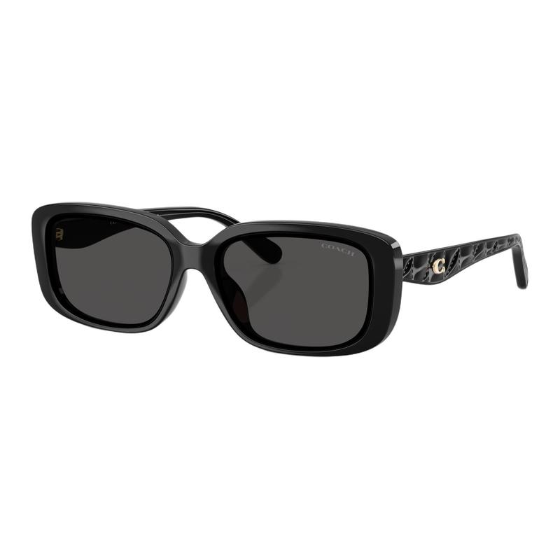 COACH Classic sunglasses, C letter LOGO temple logo, plate, square, sunglasses, same style for men and women, couple style, black чёрный