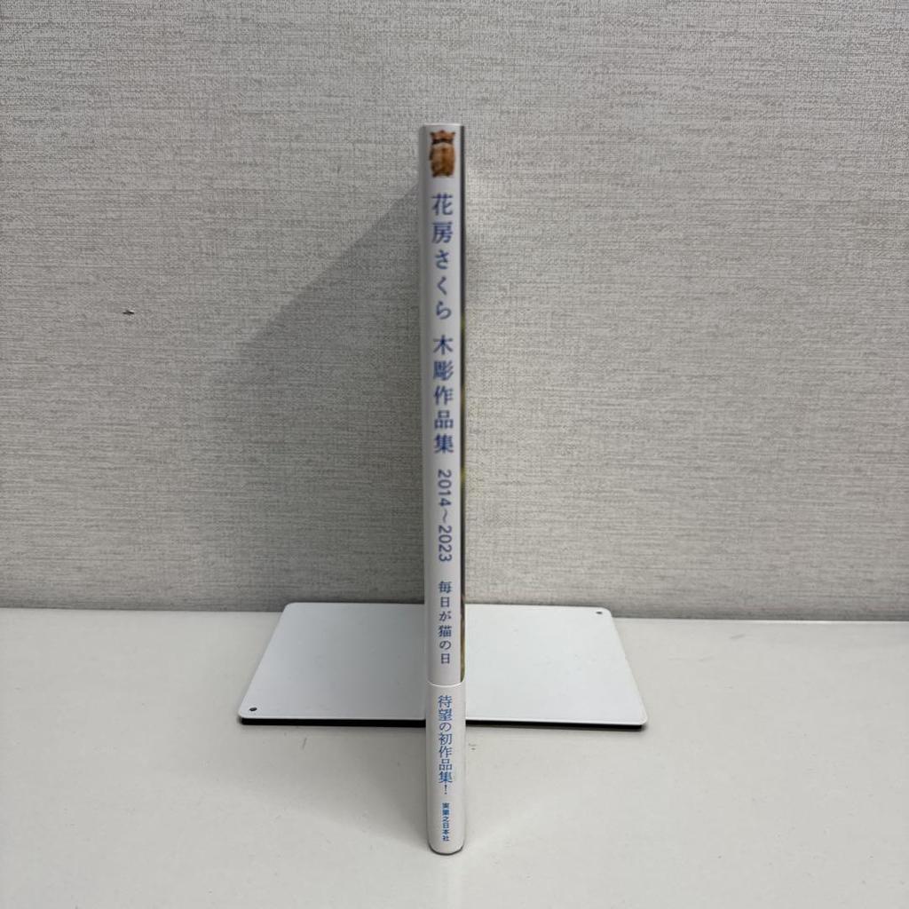 [USED] Sakura Hanabusa Wood Carving Collection 2014-2023 Every Day Is Cat Day