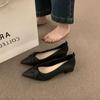 Evening Wind Pointed Single Shoes Women's Shoes Light Mouth Thick Heel Year Spring and Autumn with Skirt Temperament Ladyshoes