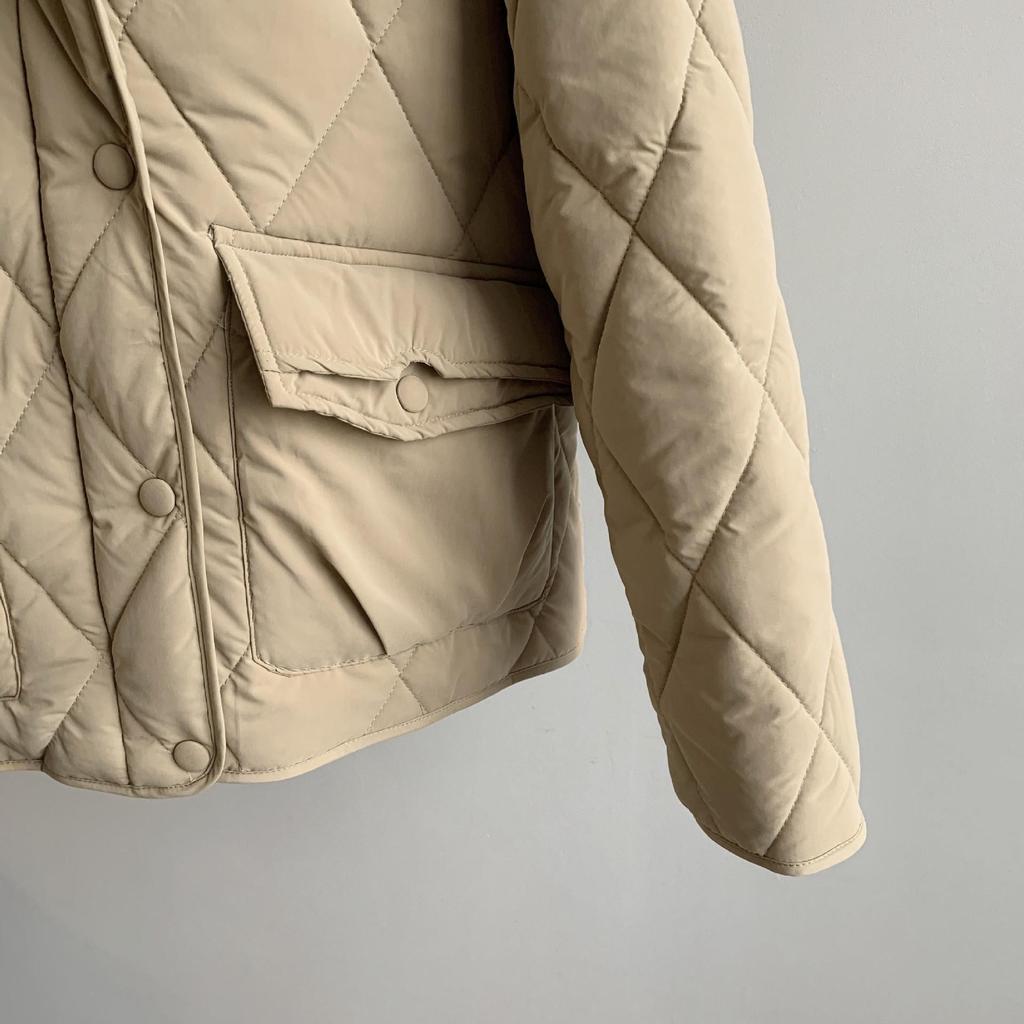 Women Winter Fur Collar Long Sleeve Solid Color All Match Warm Coat For Ladies Fashion Zipper Loose Chic Jacket