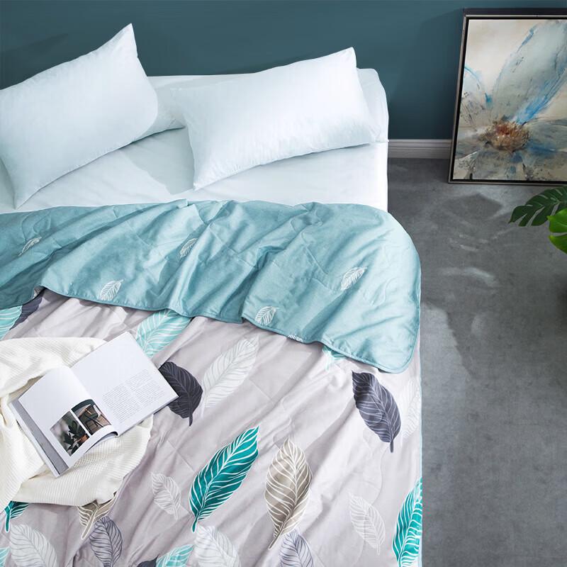 Luolai Cotton Tussah Silk Washed Summer Quilt
