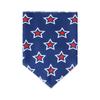 Halloween Pet Bandana Bib Polyester Triangle Scarf for Cats Dogs Fashion Accessory Holiday Costume Dress Up