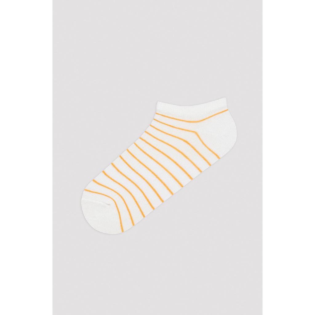 Colored Line 5 Booties Socks