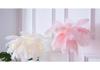 Luxurious Feather Night Light - Dimmable Desk and Decorative Lamp for Living Room or Bedroom