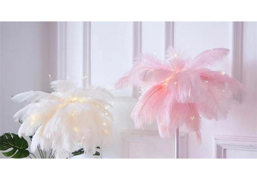Luxurious Feather Night Light - Dimmable Desk and Decorative Lamp for Living Room or Bedroom