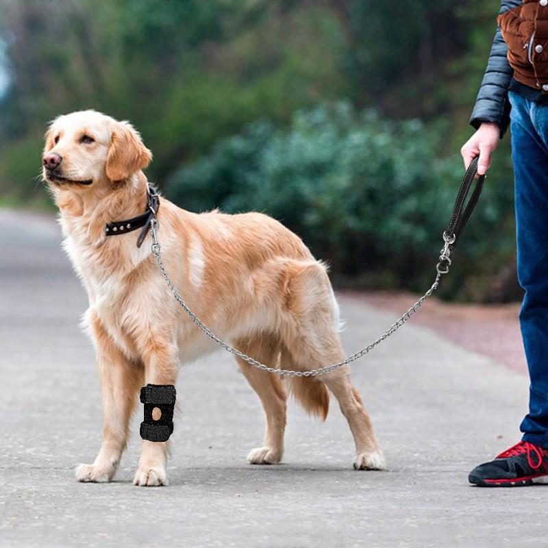 Haustier Beinschutz: Hunde- & Katzen Kniebandage zur Gelenkrehabilitation