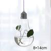 1Pcs Creative Hanging Glass Vase Transparent Hydroponic Container Terrarium Flower Plant Pot Garden Home Wedding Decoration