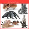 Childrens Pvc Hamster Snail Sugar Glider Animal Model Display For Education And Collection