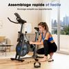 Indoor Cycling Bike iScooter QK116 6KG Flywheel Adjustable Resistance Magnetic Spin Bike LCD Screen Silent Belt